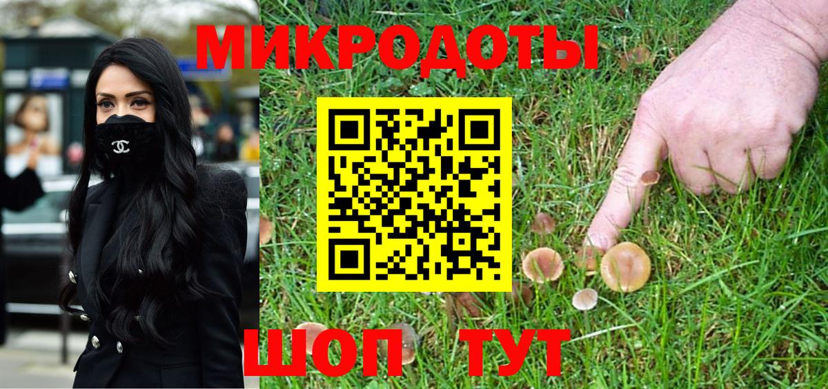 Псилоцибиновые грибы Psilocybe Сунжа