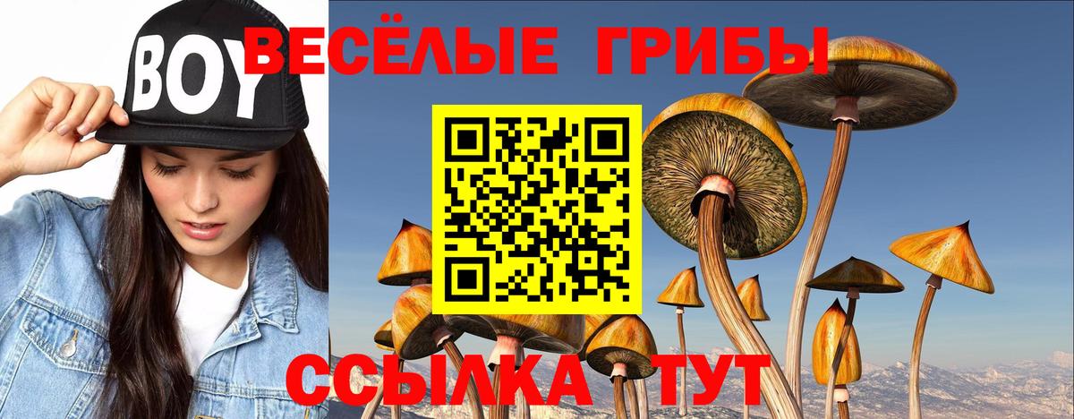 Галлюциногенные грибы Psilocybe  Галлюциногенные грибы мицелий  Вход с VPN  даркнет сайт  Сунжа 