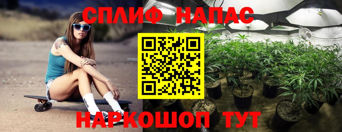 Шишки марихуана VHQ Сунжа